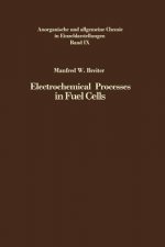 Electrochemical Processes in Fuel Cells