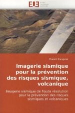 Imagerie sismique pour la prévention des risques sismique, volcanique
