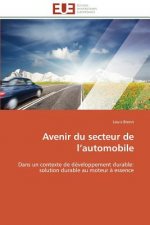 Avenir Du Secteur de L Automobile
