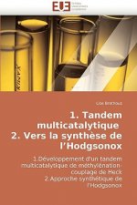 1. tandem multicatalytique 2. vers la synthese de l hodgsonox