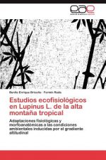 Estudios ecofisiologicos en Lupinus L. de la alta montana tropical