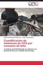 Cuantificacion de emisiones de CO2 por consumo de lena