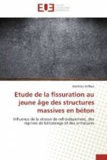 Etude de la fissuration au jeune âge des structures massives en béton