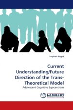 Current Understanding/Future Direction of the Trans-Theoretical Model