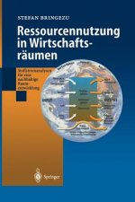 Ressourcennutzung in Wirtschaftsraumen