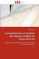 Compr hension Et Gestion Des Signaux Faibles En Sant -S curit