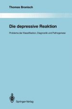 Die depressive Reaktion