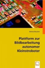 Plattform zur Bildbearbeitung autonomer Kleinstroboter