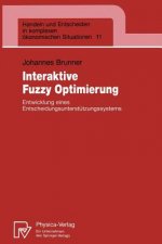 Interaktive Fuzzy Optimierung