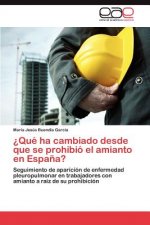 ?Que ha cambiado desde que se prohibio el amianto en Espana?