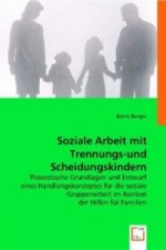 Soziale Arbeit mit Trennungs-und Scheidungskindern