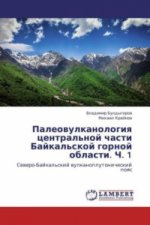 Paleovulkanologiya central'noj chasti Bajkal'skoj gornoj oblasti. Ch. 1