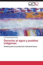 Derecho al agua y pueblos indigenas