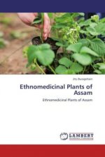 Ethnomedicinal Plants of Assam