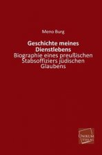 Geschichte Meines Dienstlebens