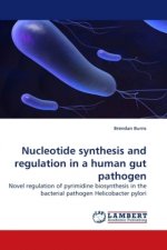 Nucleotide synthesis and regulation in a human gut pathogen