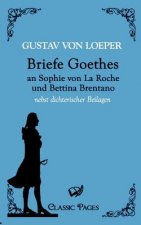 Briefe Goethes an Sophie von La Roche und Bettina Brentano