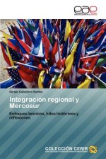 Integracion regional y Mercosur