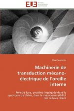 Machinerie de Transduction M cano- lectrique de L Oreille Interne