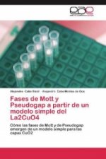 Fases de Mott y Pseudogap a partir de un modelo simple del La2CuO4