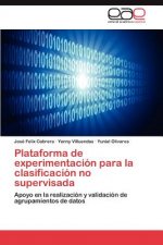 Plataforma de Experimentacion Para La Clasificacion No Supervisada