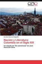 Nacion y Literatura