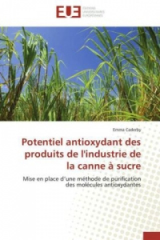 Potentiel antioxydant des produits de l'industrie de la canne à sucre