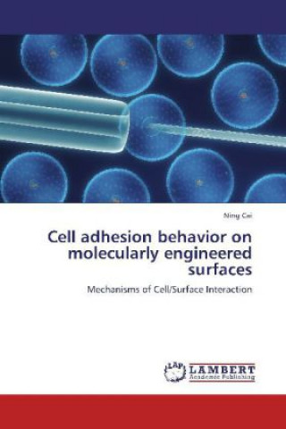 Cell adhesion behavior on molecularly engineered surfaces
