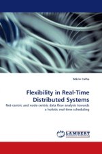 Flexibility in Real-Time Distributed Systems
