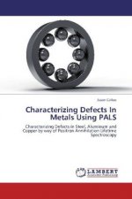 Characterizing Defects In Metals Using PALS
