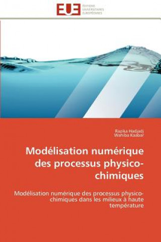 Modelisation numerique des processus physico-chimiques