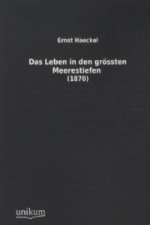 Das Leben in den grössten Meerestiefen