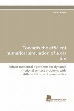 Towards the Efficient Numerical Simulation of a Car Tire