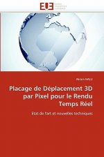 Placage de D placement 3D Par Pixel Pour Le Rendu Temps R el