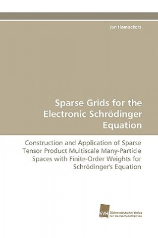 Sparse Grids for the Electronic Schroedinger Equation