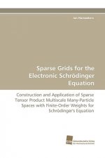 Sparse Grids for the Electronic Schroedinger Equation