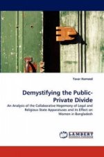 Demystifying the Public-Private Divide