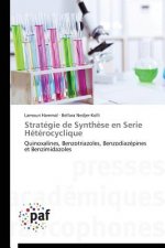 Strategie de Synthese En Serie Heterocyclique