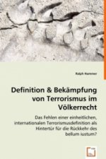 Definition & Bekämpfung von Terrorismus im Völkerrecht