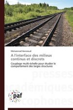 l'Interface Des Milieux Continus Et Discrets