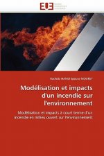 Mod lisation Et Impacts d''un Incendie Sur l''environnement
