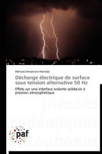 Decharge Electrique de Surface Sous Tension Alternative 50 Hz