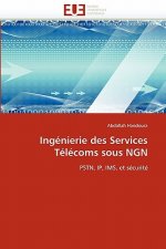 Ing nierie Des Services T l coms Sous Ngn