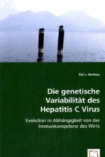 Die genetische Variabilität des Hepatitis C Virus