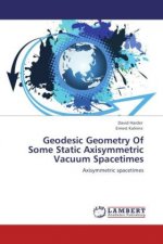 Geodesic Geometry Of Some Static Axisymmetric Vacuum Spacetimes