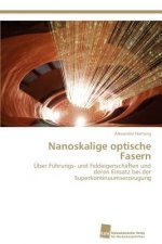 Nanoskalige optische Fasern