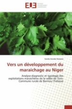 Vers un développement du maraichage au Niger