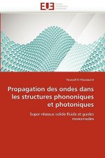 Propagation Des Ondes Dans Les Structures Phononiques Et Photoniques