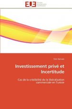 Investissement prive et incertitude