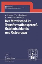 Mittelstand Im Transformationsprozess Ostdeutschlands Und Osteuropas